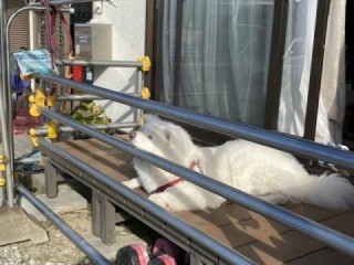 サボってないか監視中